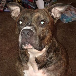 Meet your Posher, Jamie